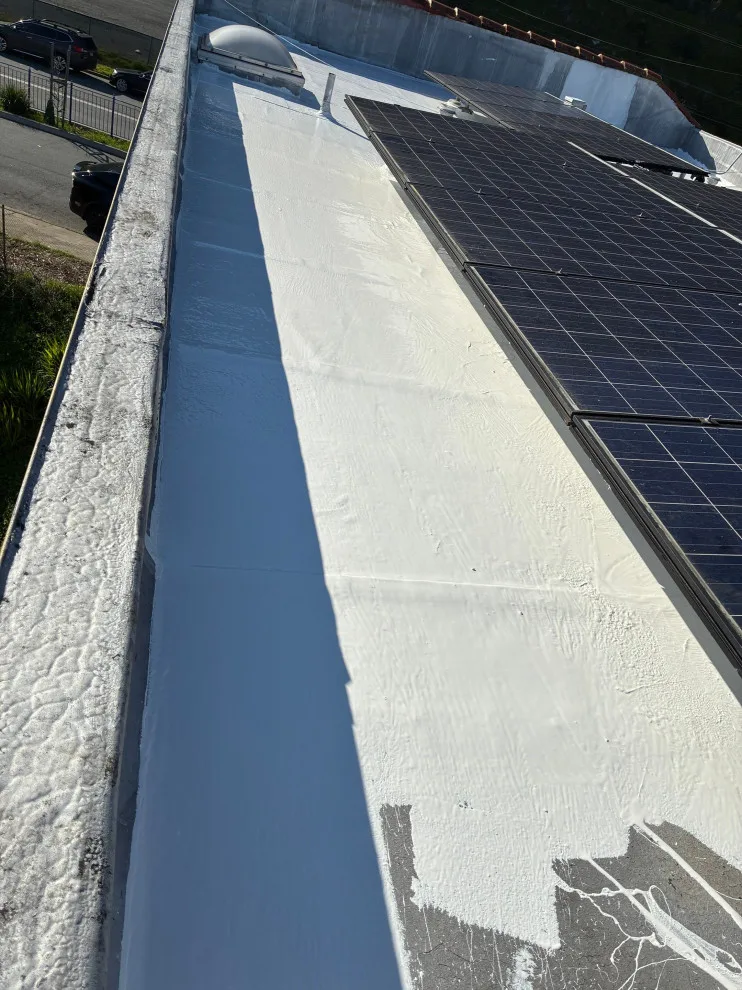 Jamestown Avenue, San Francisco, CA 94124 by Infinite Roofing Solutions - Photo 6