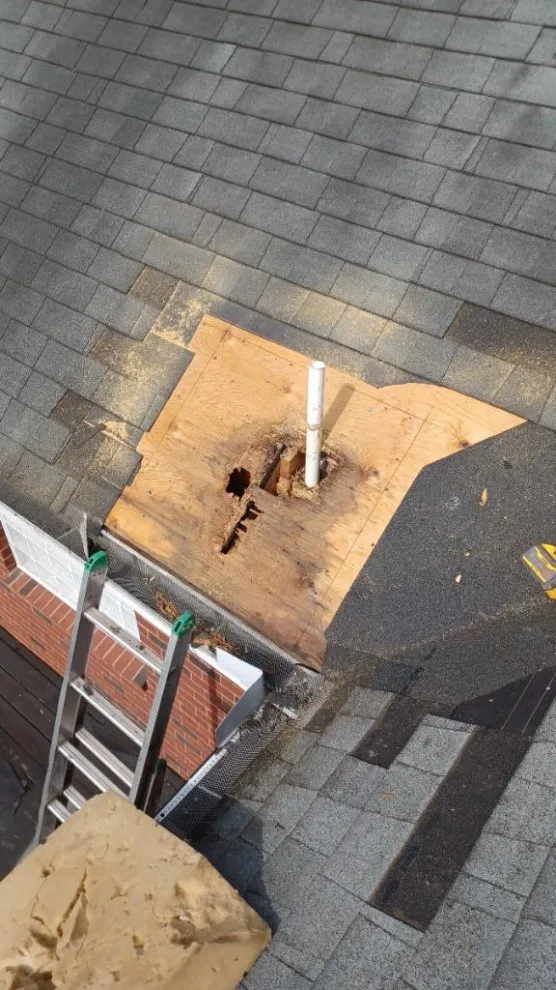 Damaged sheathing and leaking plumbing vent by Roof MD - Photo 2