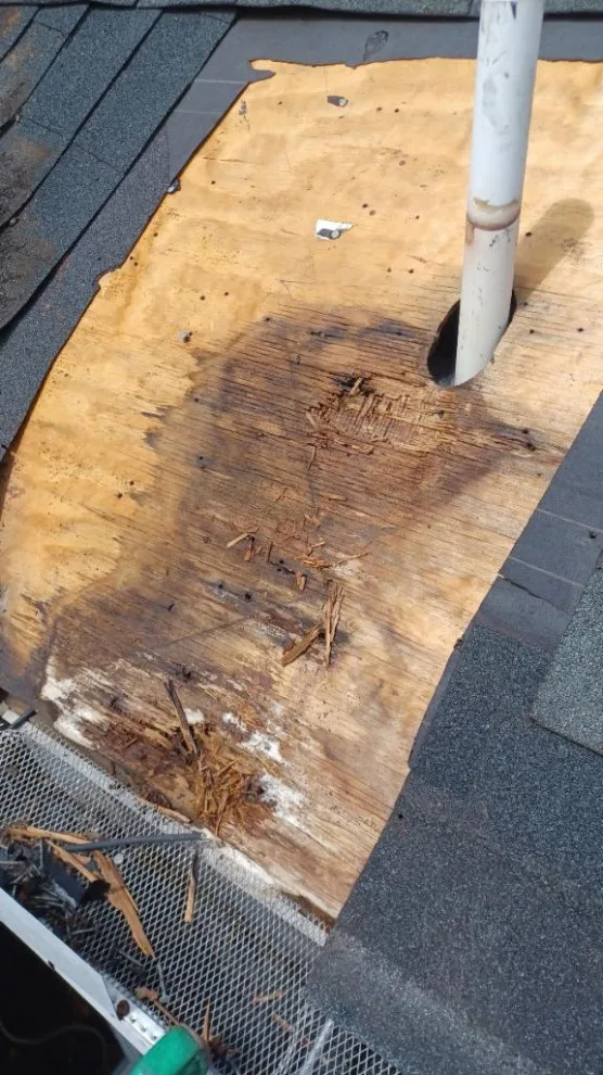 Damaged sheathing and leaking plumbing vent by Roof MD - Photo 3