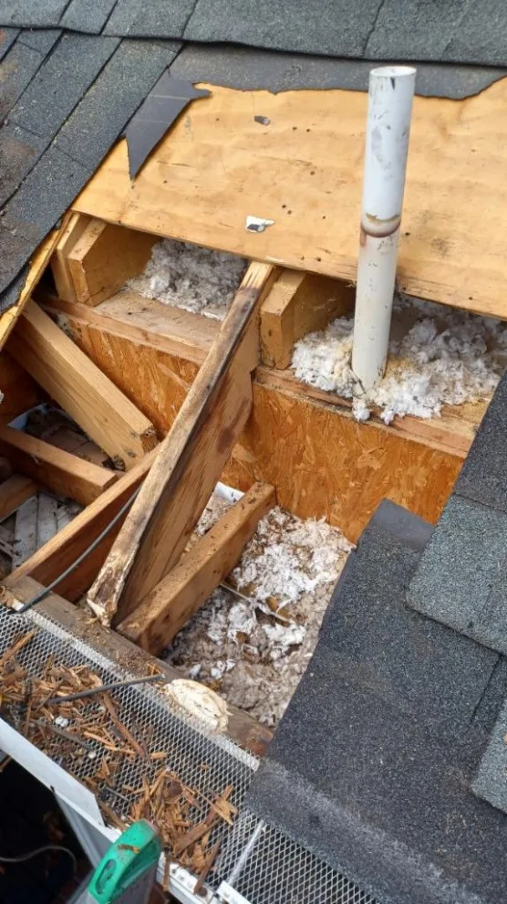 Roof MD - Photo 3