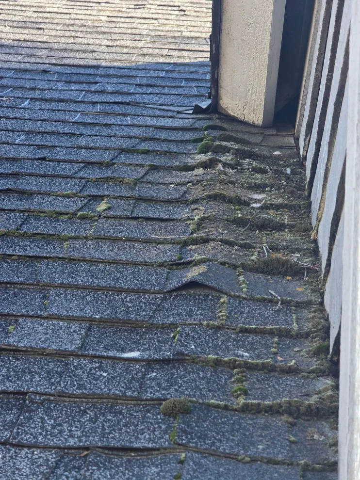Infinite Roofing Solutions - Photo 12