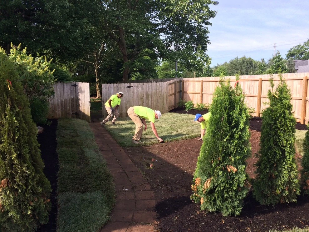 Lawn Shark Land Maintenance, Inc - Photo 2