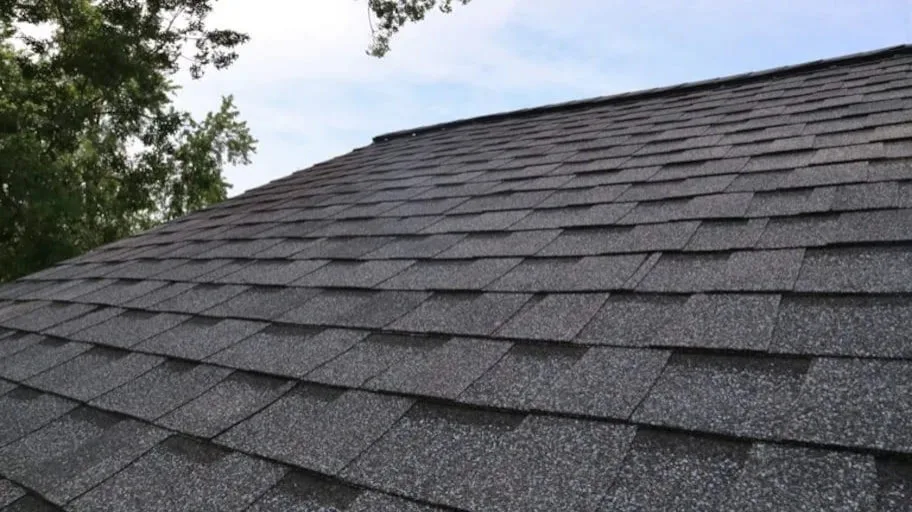 My Initiative by Altamount Roofing LLC - Photo 35