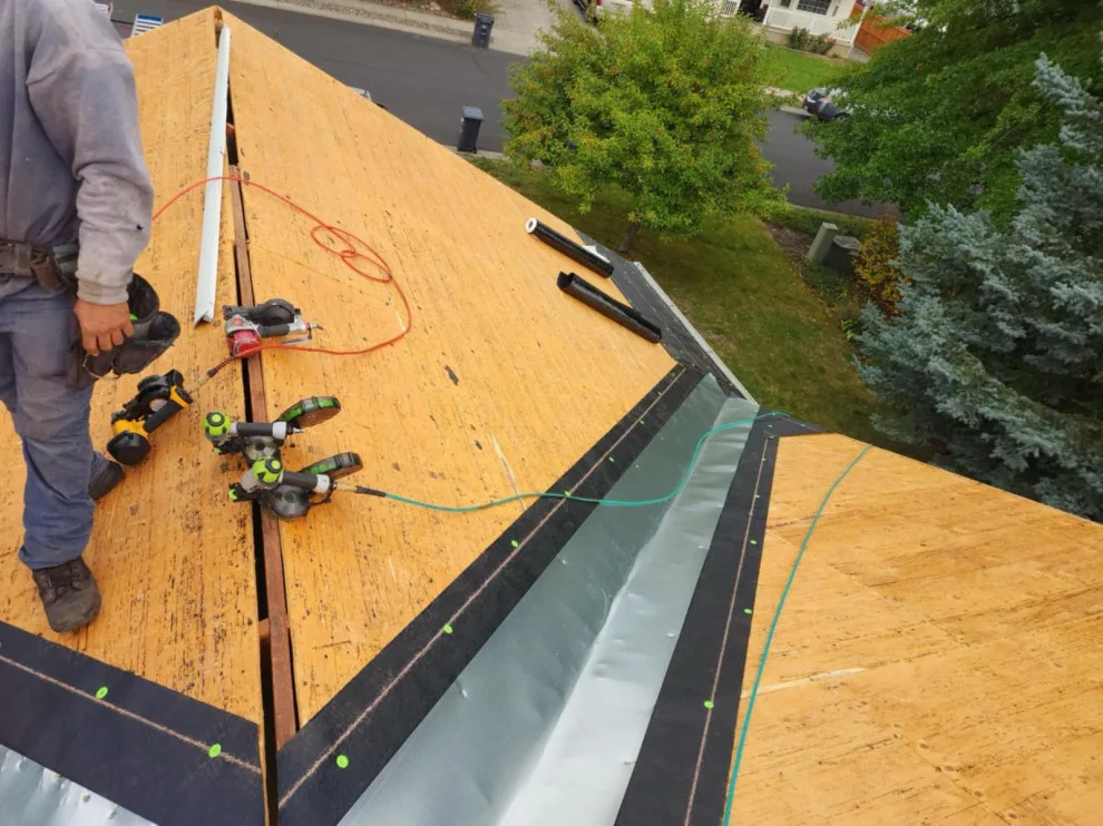 My Initiative by Altamount Roofing LLC - Photo 42