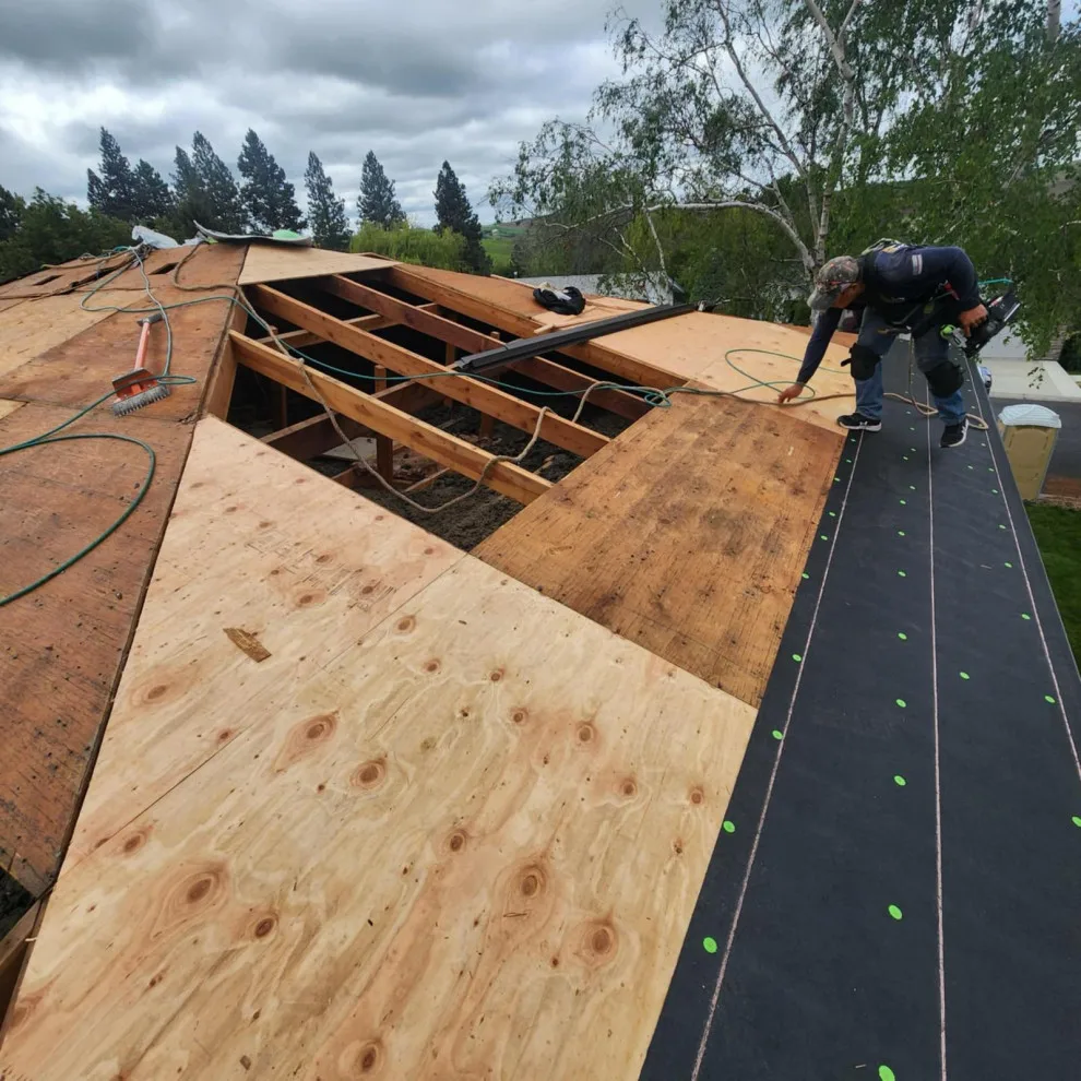 My Initiative by Altamount Roofing LLC - Photo 17