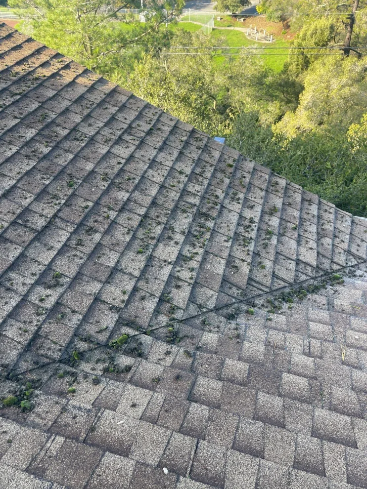 Oakland, California 94619 by Infinite Roofing Solutions - Photo 5