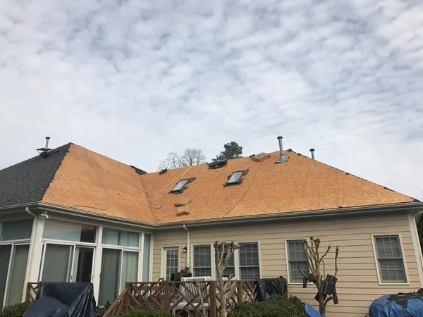 Roof Roof - Photo 12