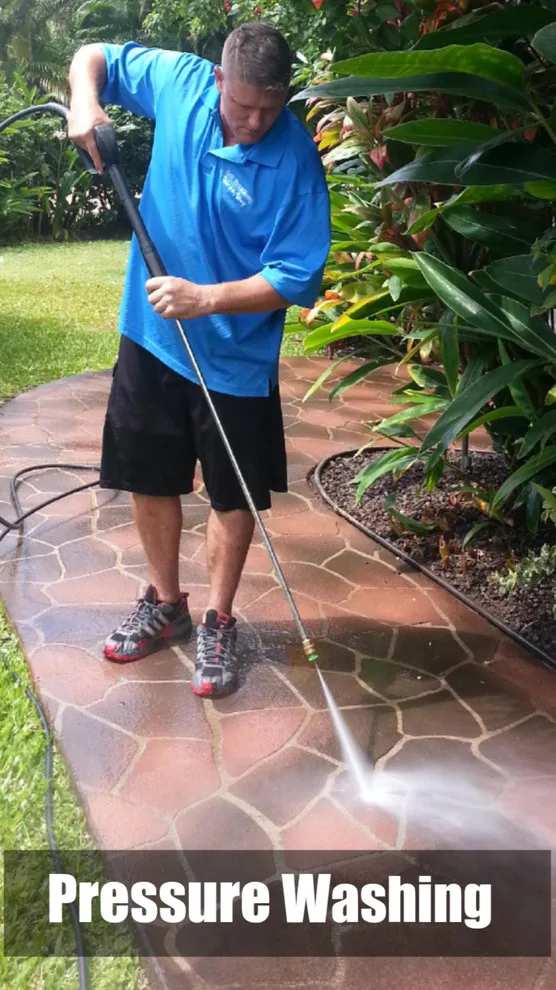 Pacific Window Cleaners - Photo 6