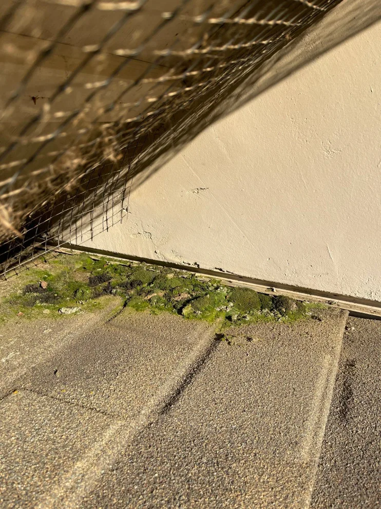 Paicines, California 95043 by Infinite Roofing Solutions - Photo 2