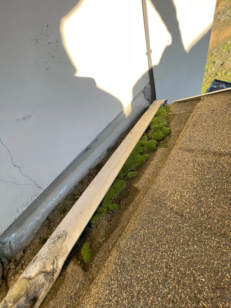 Paicines, California 95043 by Infinite Roofing Solutions - Photo 4
