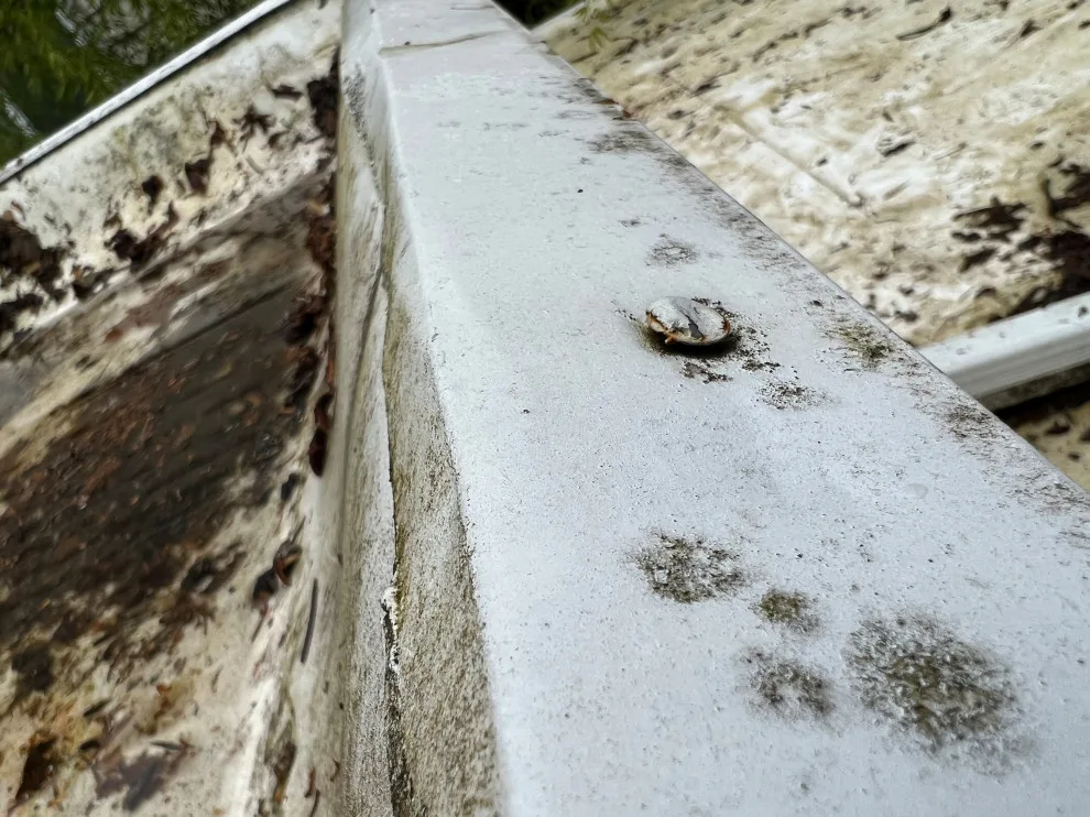 PVC roofing projects by Checkmate Roofing And Construction - Photo 13