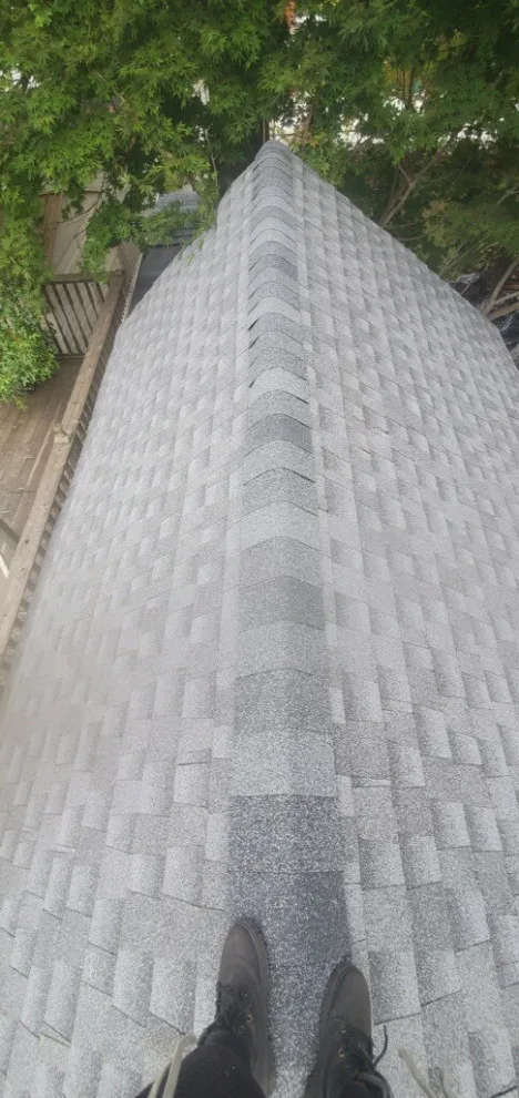 Roofing Initiatives by Megel Sons Roofing - Photo 7