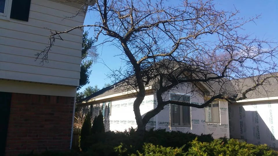 Roofing Initiatives by Metro Detroit Roofs LLC - Photo 24