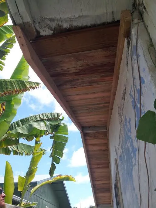 Decaying Eave Restoration by KDS Roofing Solutions - Photo 13