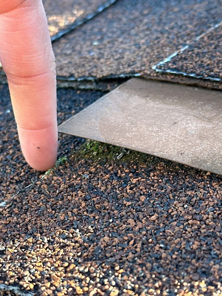 Shorey Avenue • Fairfield, CA 94533 by Infinite Roofing Solutions - Photo 4