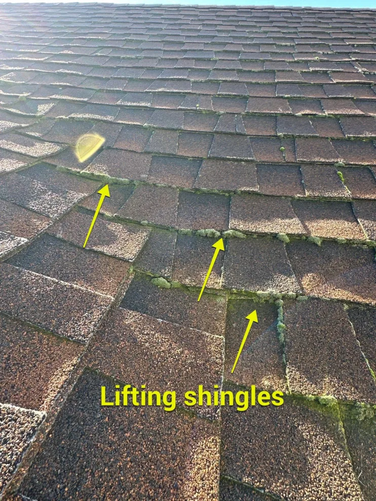 Shorey Avenue • Fairfield, CA 94533 by Infinite Roofing Solutions - Photo 5