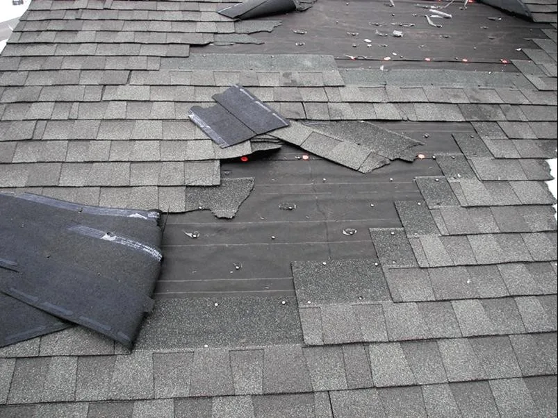 Spring 2019 - Summit Roofers by Altitude Roofers - Photo 10