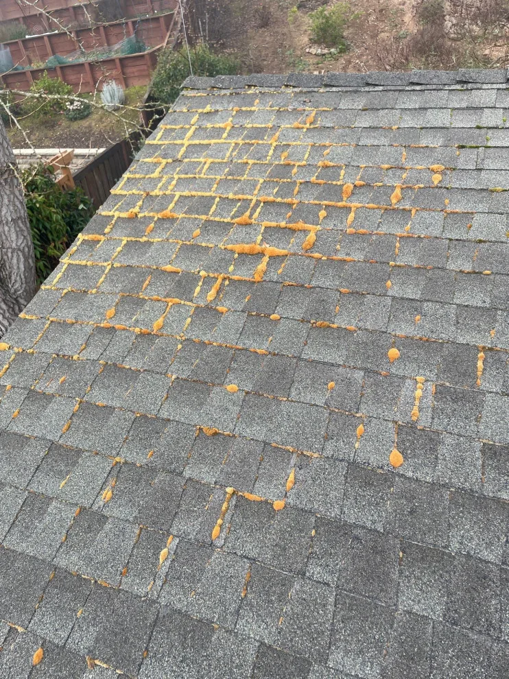 Vineta Court, Martinez, CA 94553 by Infinite Roofing Solutions - Photo 8
