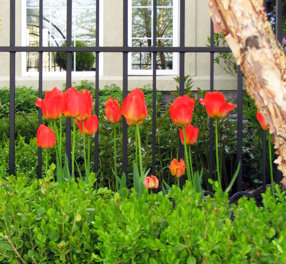 Highlands Hackberry by Chuck B Edwards Landscape Architecture & 3D - Photo 2