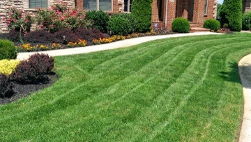 Lawns By Lichtefeld - Photo 7