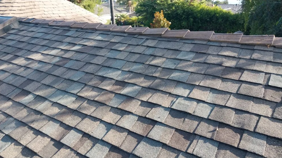 Seven Rivers Roofing One by 7 Rios Roofing - Photo 13