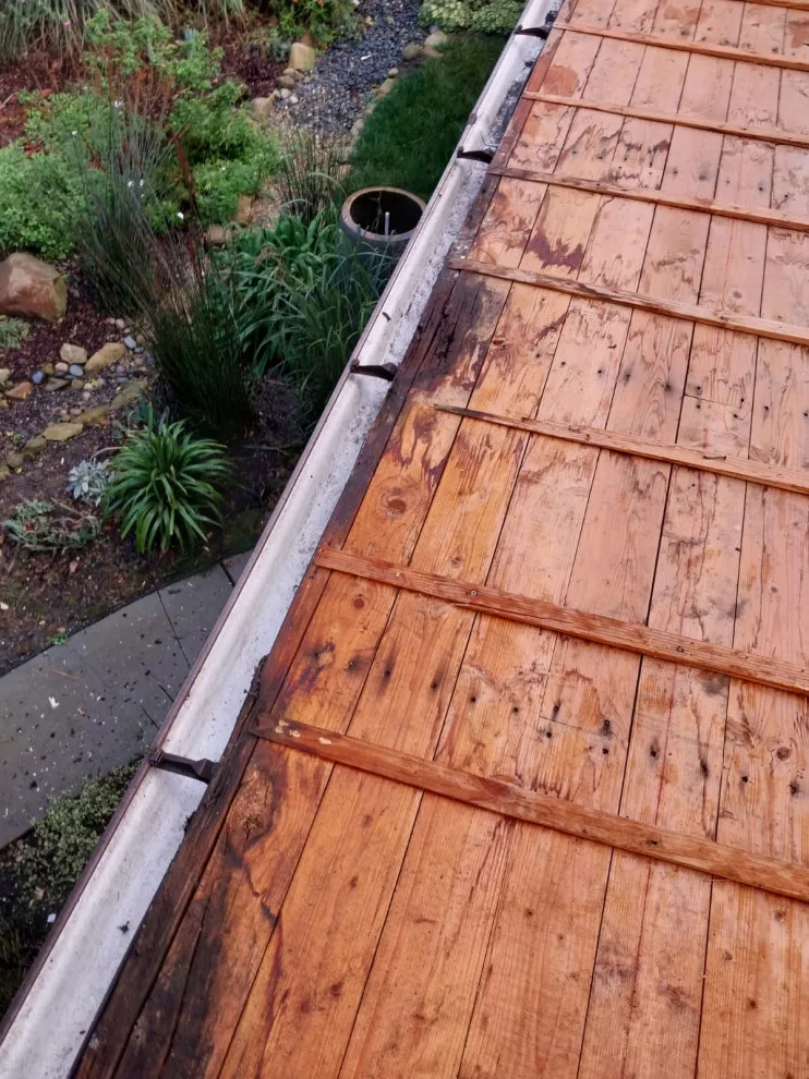 Seven Rivers Roofing by 7 Rios Roofing - Photo 19