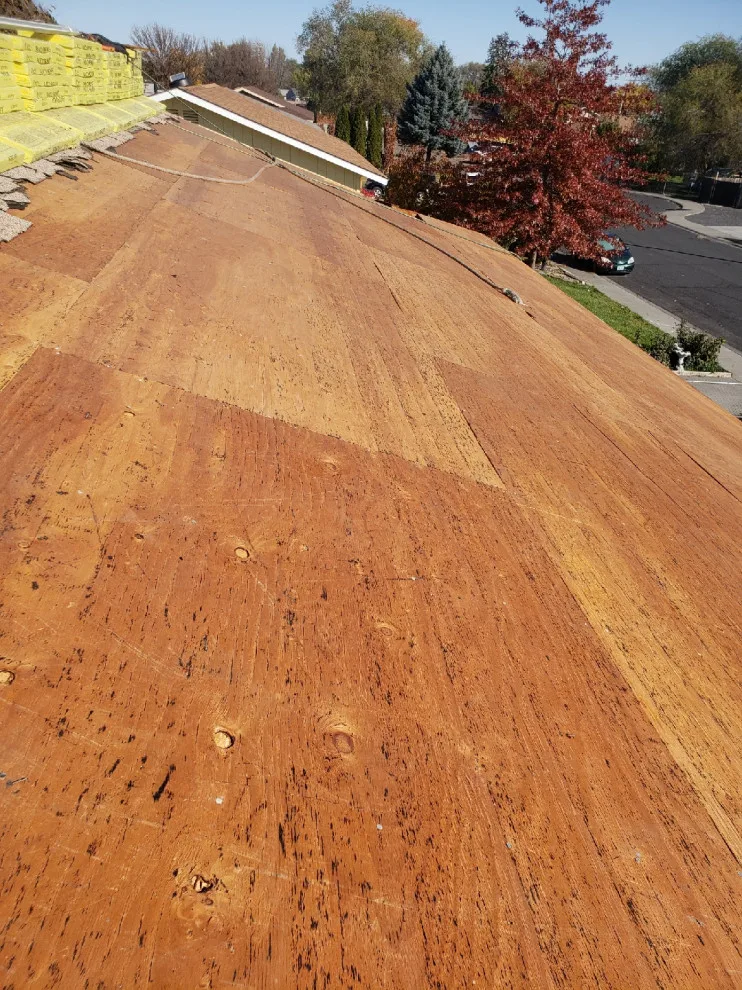 AJJ Roofing Company 2 by AJJ Roofing LLC - Photo 3