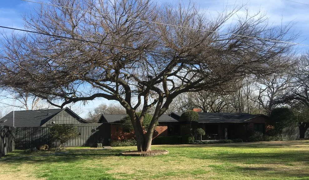 Shingles Roofing LLC - Photo 8
