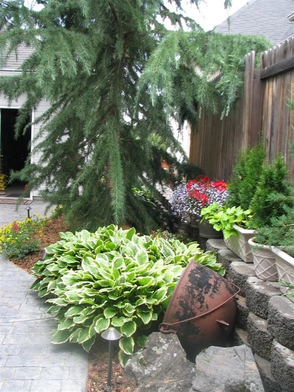 Mill Creek by Chuck B Edwards Landscape Architecture & 3D - Photo 3