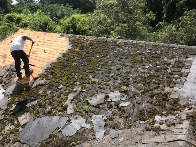 Architectural Asphalt Shingles I Project by Roof-Techo LLC - Photo 8