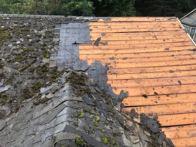 Roof-Techo LLC - Photo 8