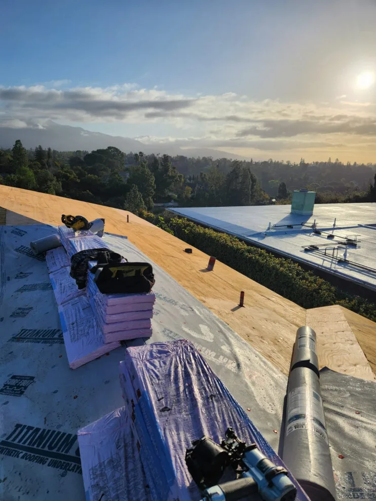 Shingle Roof Transformation by SLR Roofing - Photo 5