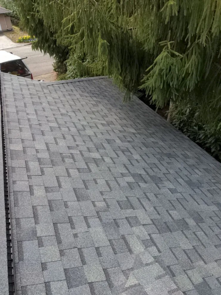 Bellevue Rooftop Asphalt by RoofSmart - Photo 16