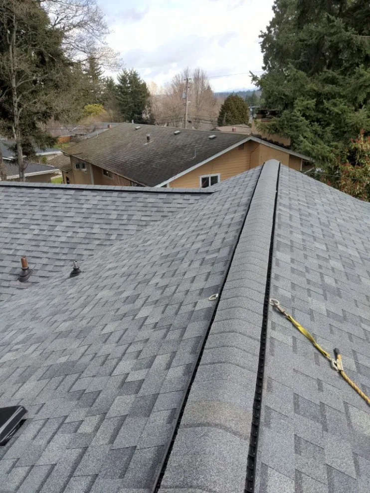 Bellevue Rooftop Asphalt by RoofSmart - Photo 10
