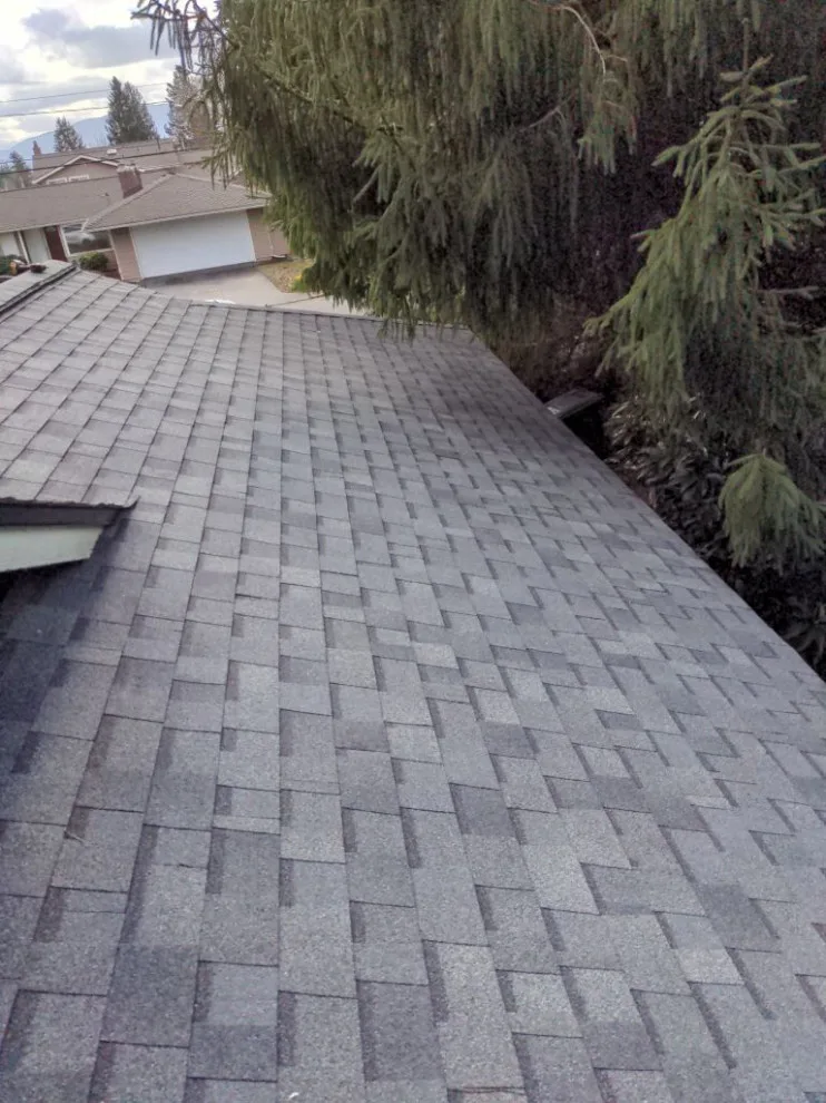 Bellevue Rooftop Asphalt by RoofSmart - Photo 17