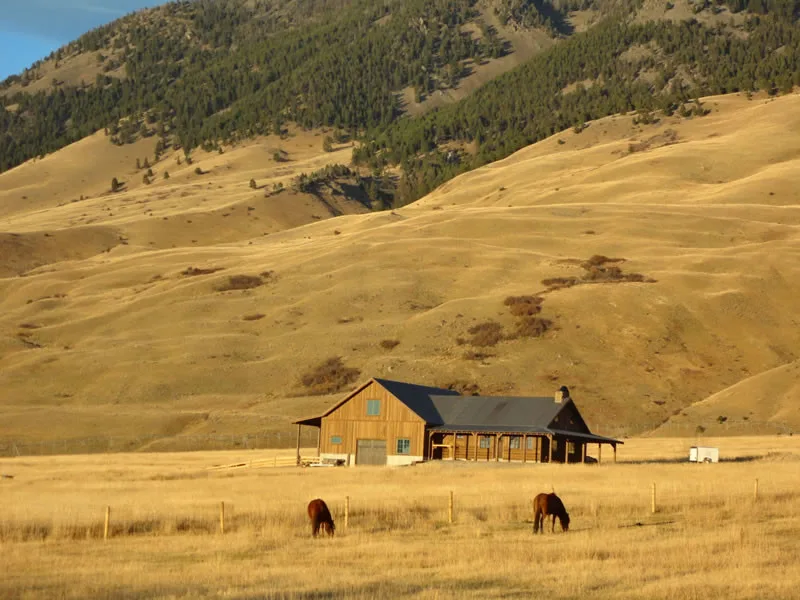 Bonderized Roofing Solutions by Western States Metal Roofing - Photo 5