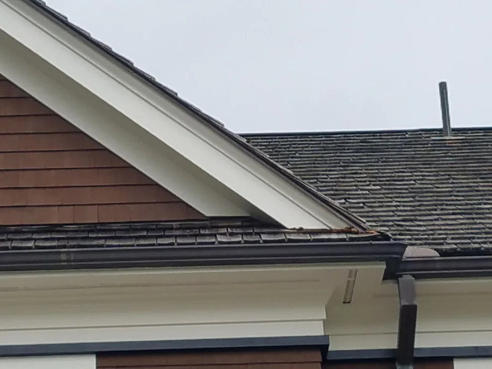 Chestnut Hill Flat Roof Restoration by Loyalty Exterior Solutions - Photo 23