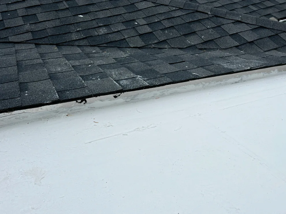 Sunroom Leak Repair Coating by Roof MD - Photo 6