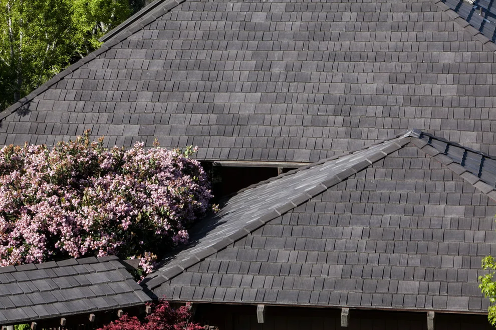 DaVinci Roofing Solutions by DaVinci Roofscapes - Photo 20