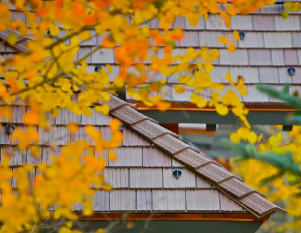 DaVinci Roofing Solutions by DaVinci Roofscapes - Photo 11