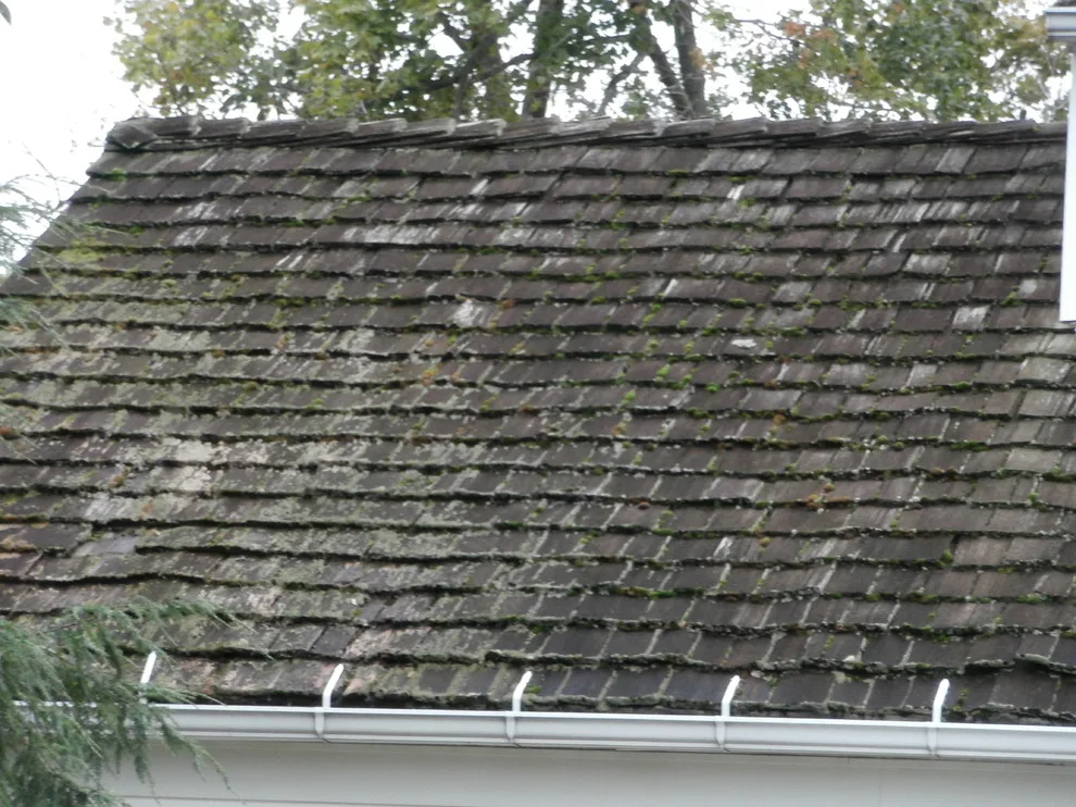 Shake PRO Solutions, LLC - Photo 3