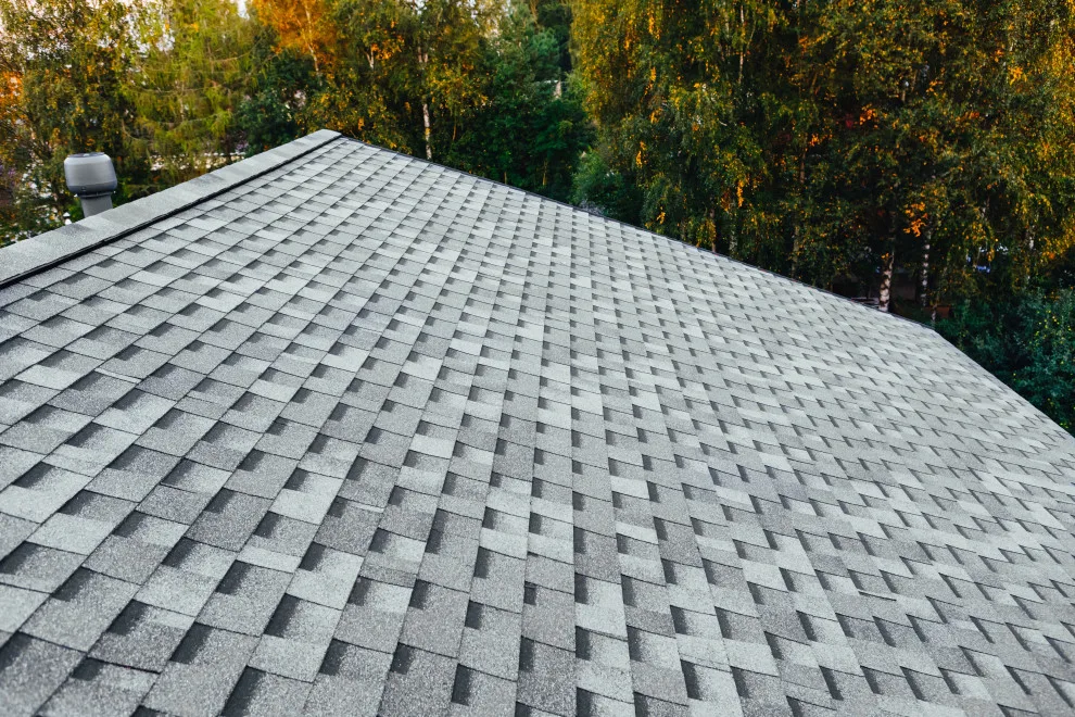Roofing Company & Roofing Contractors TOPLINE - Photo 14