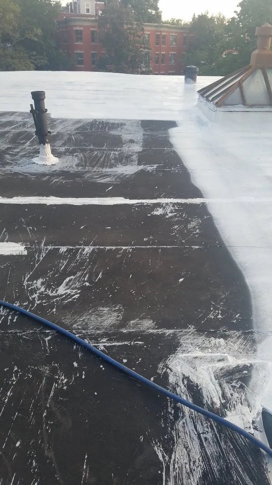 GAF's Ultimate Roof Sealant by Loyalty Exterior Solutions - Photo 7