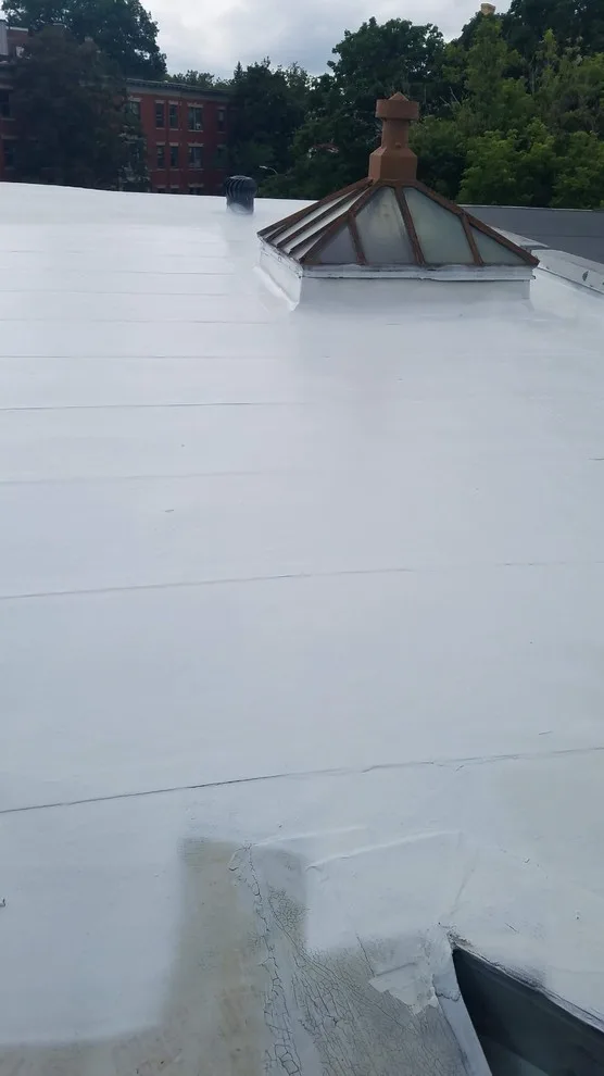 GAF's Ultimate Roof Sealant by Loyalty Exterior Solutions - Photo 13