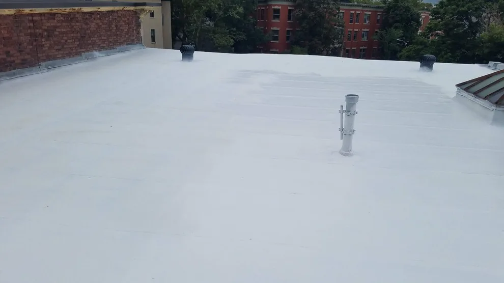 GAF's Ultimate Roof Sealant by Loyalty Exterior Solutions - Photo 14