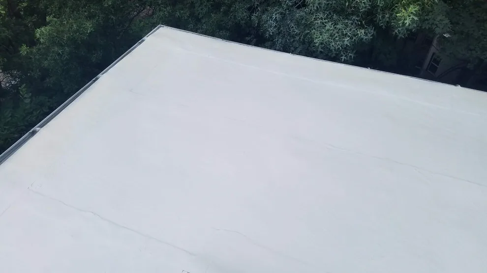GAF's Ultimate Roof Sealant by Loyalty Exterior Solutions - Photo 12