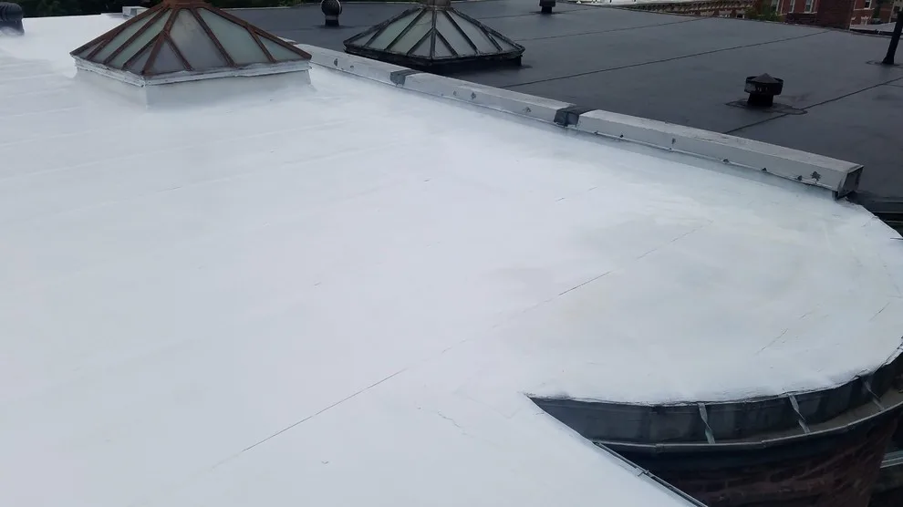 GAF's Ultimate Roof Sealant by Loyalty Exterior Solutions - Photo 17