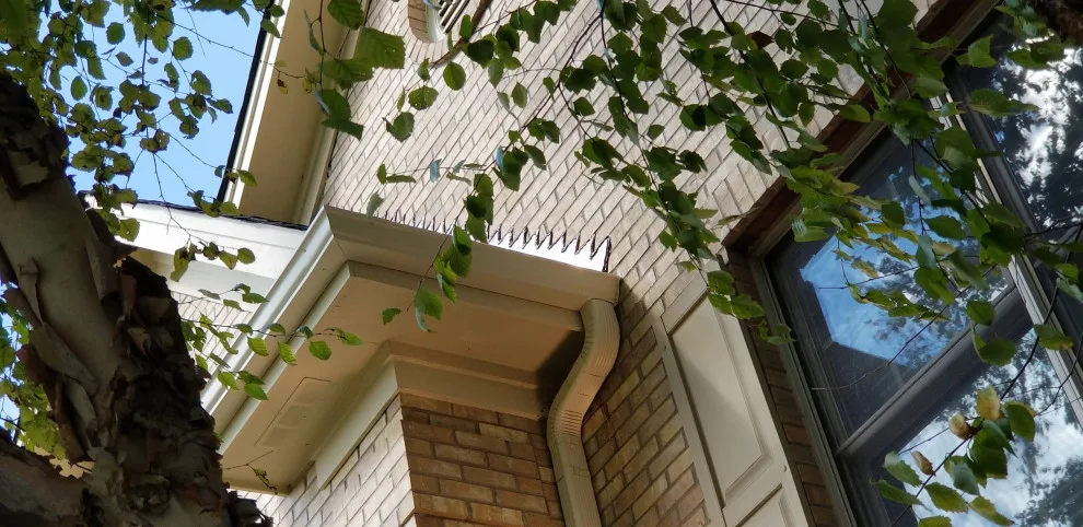 Elgin, IL Gutter Installation by Optimal Gutters Installation & Replacement - Photo 4