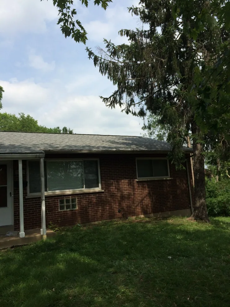 Happy Roof - Photo 2