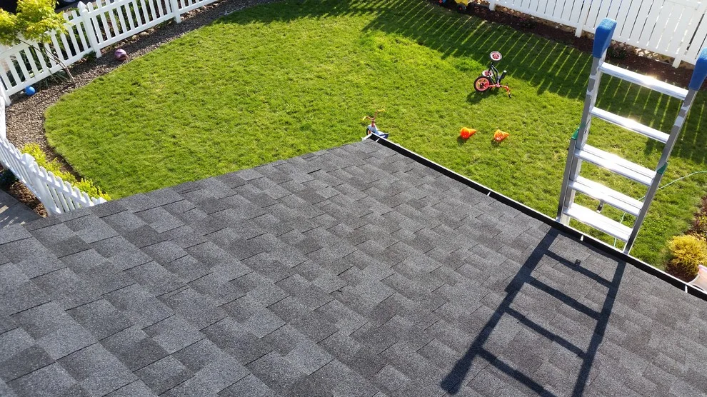IBEX Roof - Photo 8